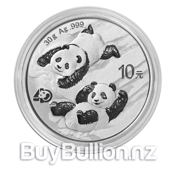 30 gram 99.9% silver Panda coin (500) 